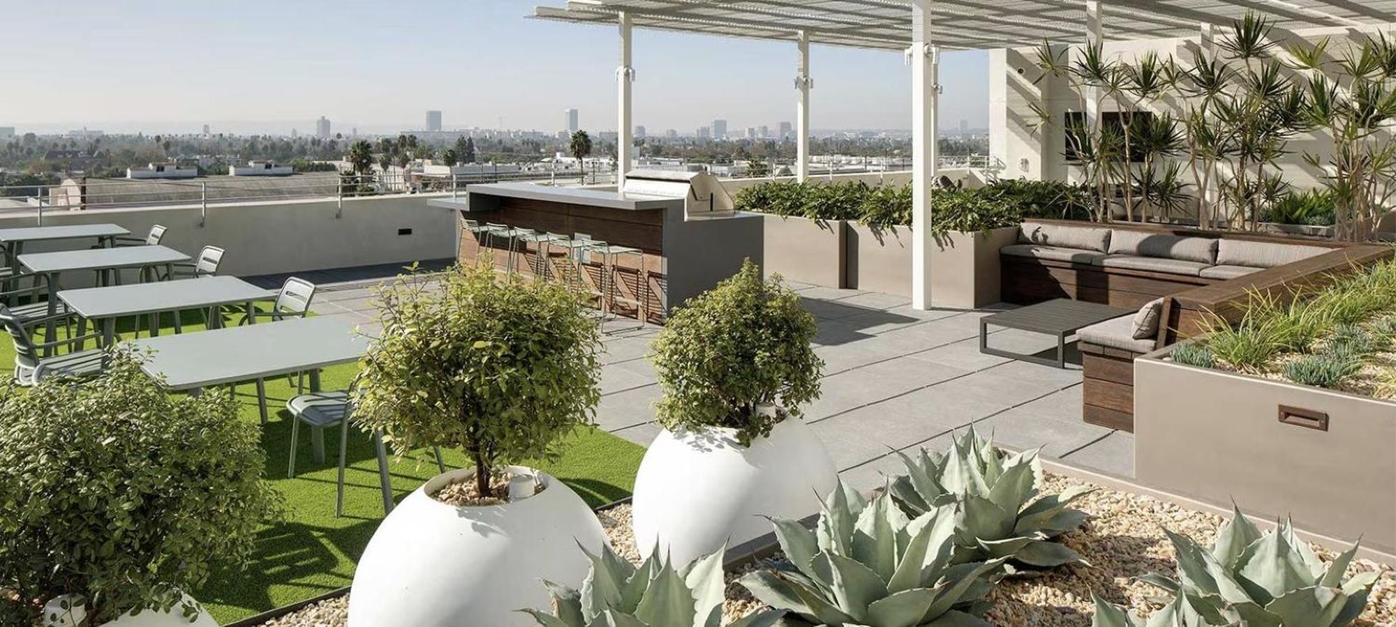 Apartment Cozy And Spacious Apartment's In The Heart Of La Los Angeles